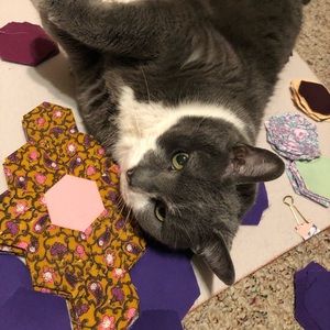 Meet your Posher, Cher